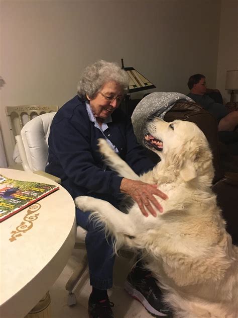 dog sex with granny|Granny dog .